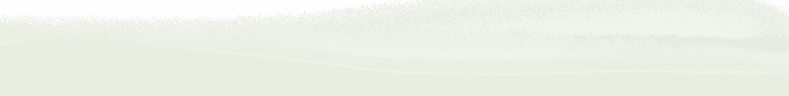 Green Background Top